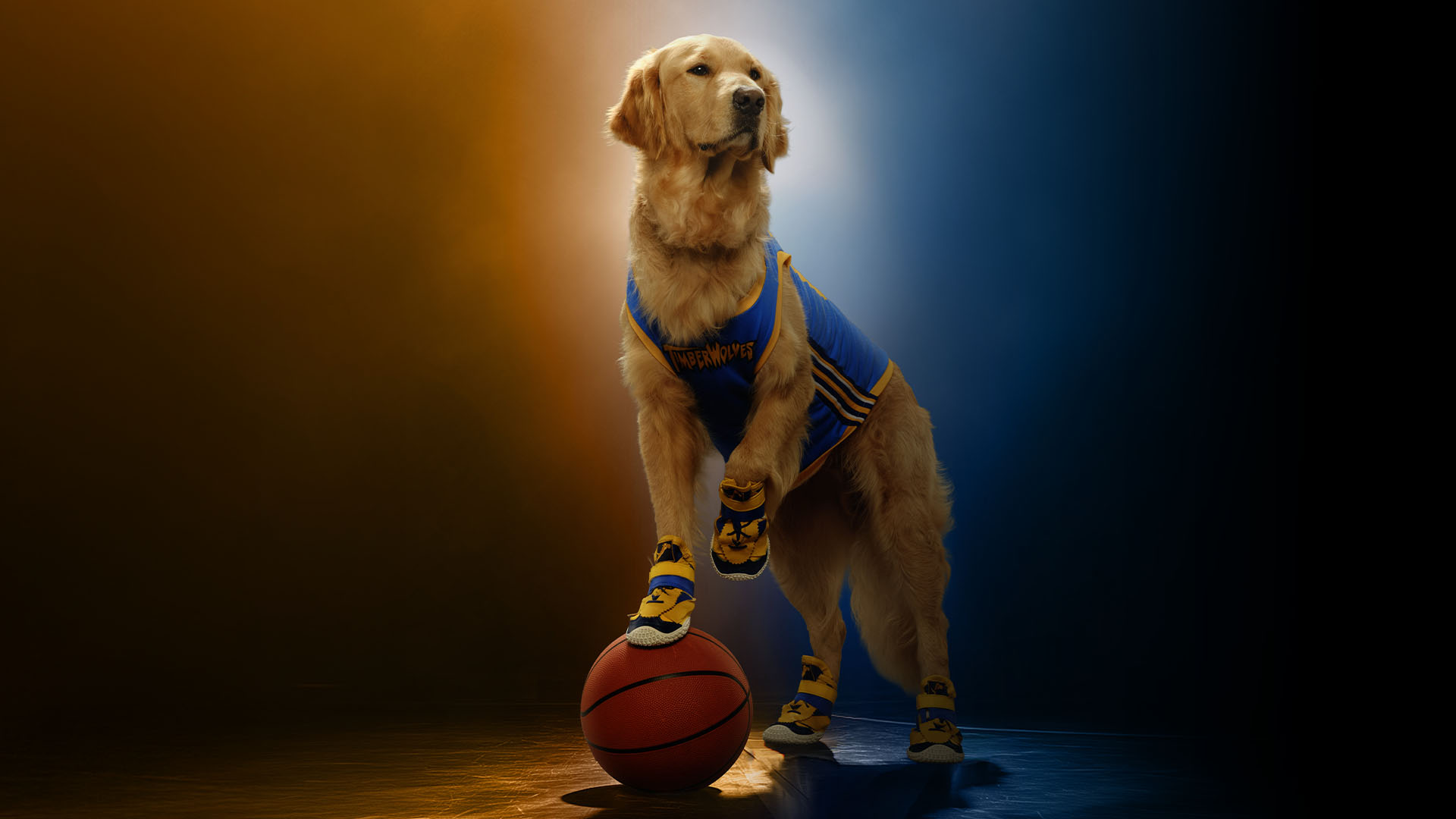 The Film Detective show logo