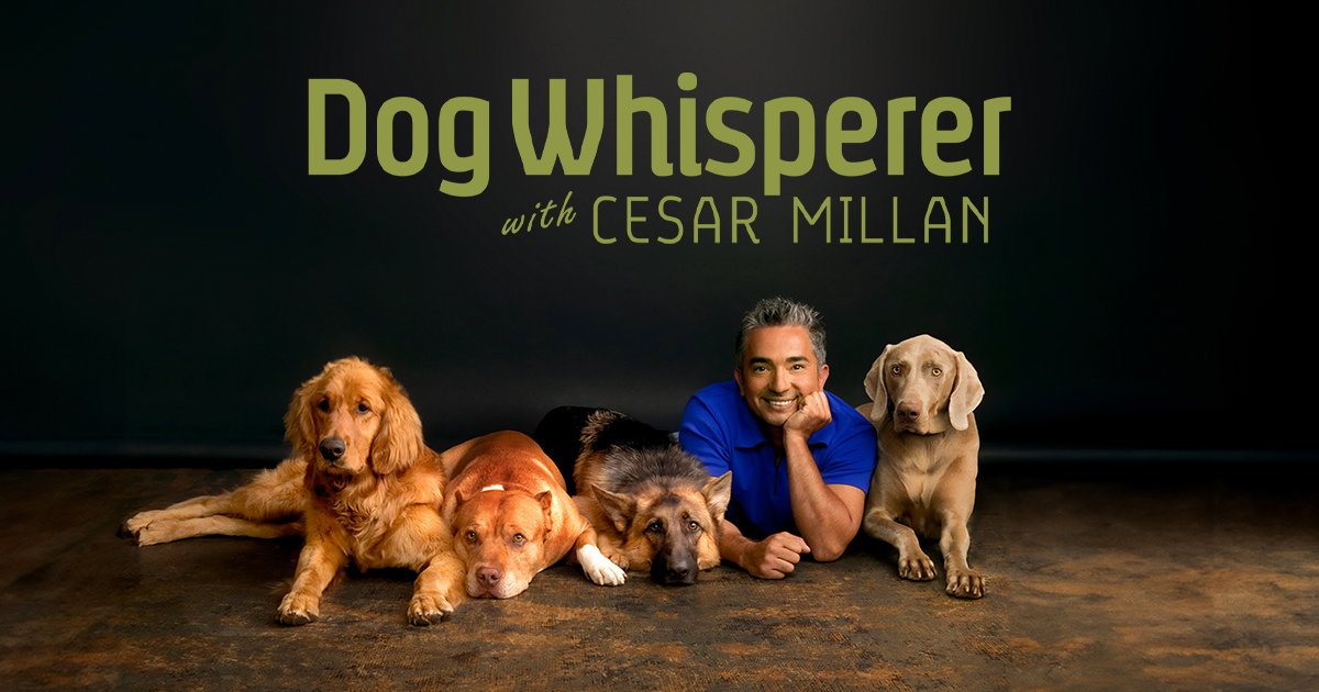 The Dog Whisperer TV series on Cineverse.